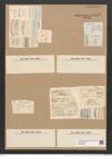 Cystopleura zebra var. saxonica (Kuetz.) Grun. (de-Toni-Nr.: Genus 103, Species 3127) Zeichnungen Sammlung Grunow Nr. 6405 (NHMW-BOT-W0375078)